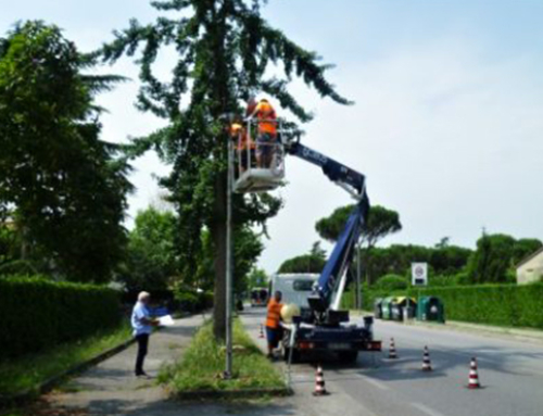 Riqualificazione illuminazione pubblica di Martellago